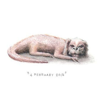 4 February 2016