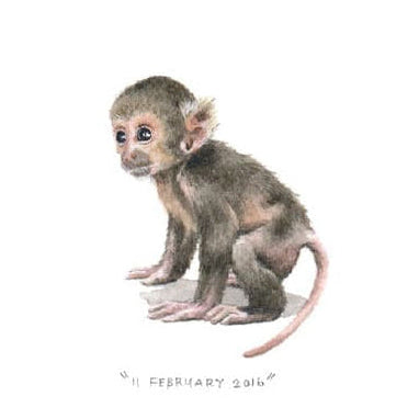 11 February 2016
