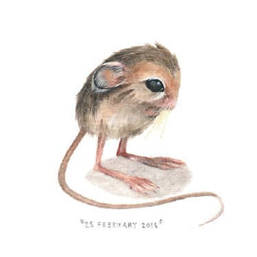 25 February 2016