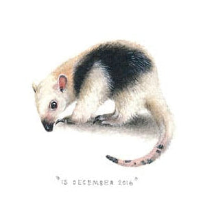 15 December 2016