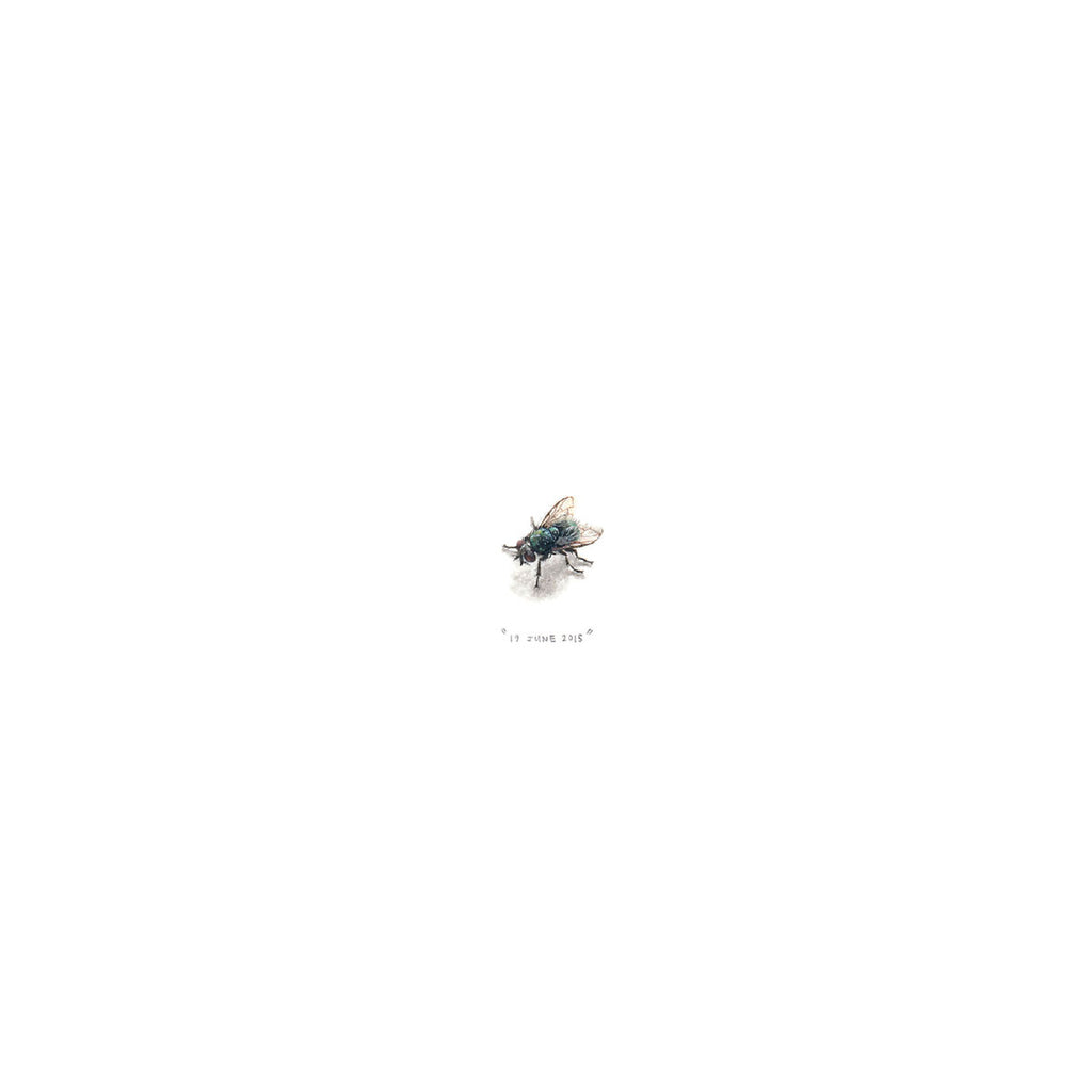 19 June 2015