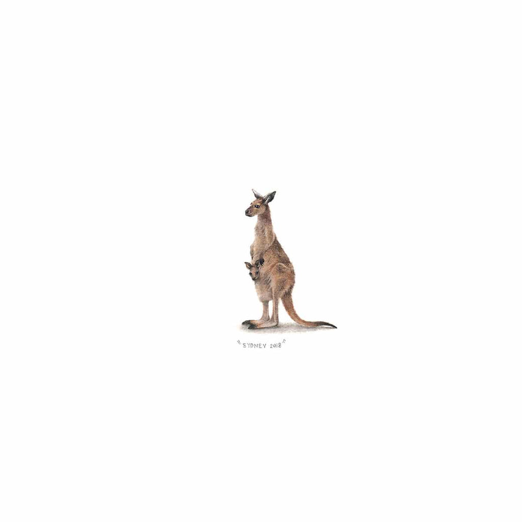 Kangaroo Mama And Baba