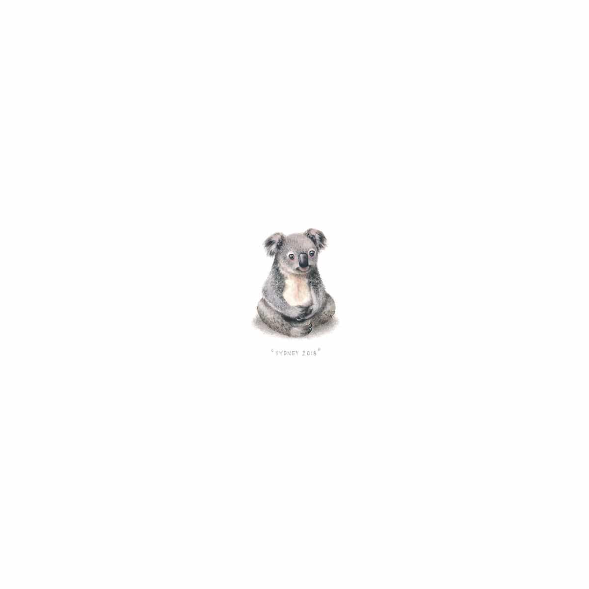 Koala