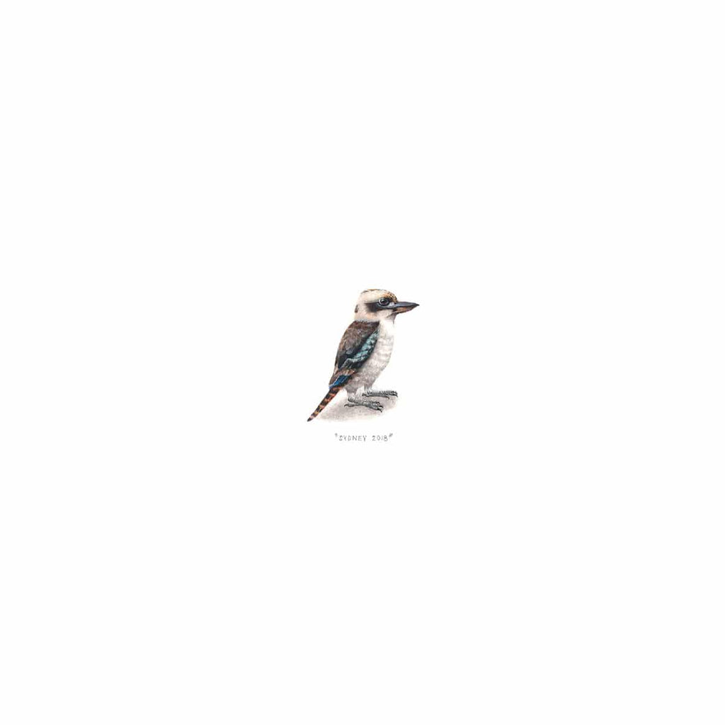 Kookaburra