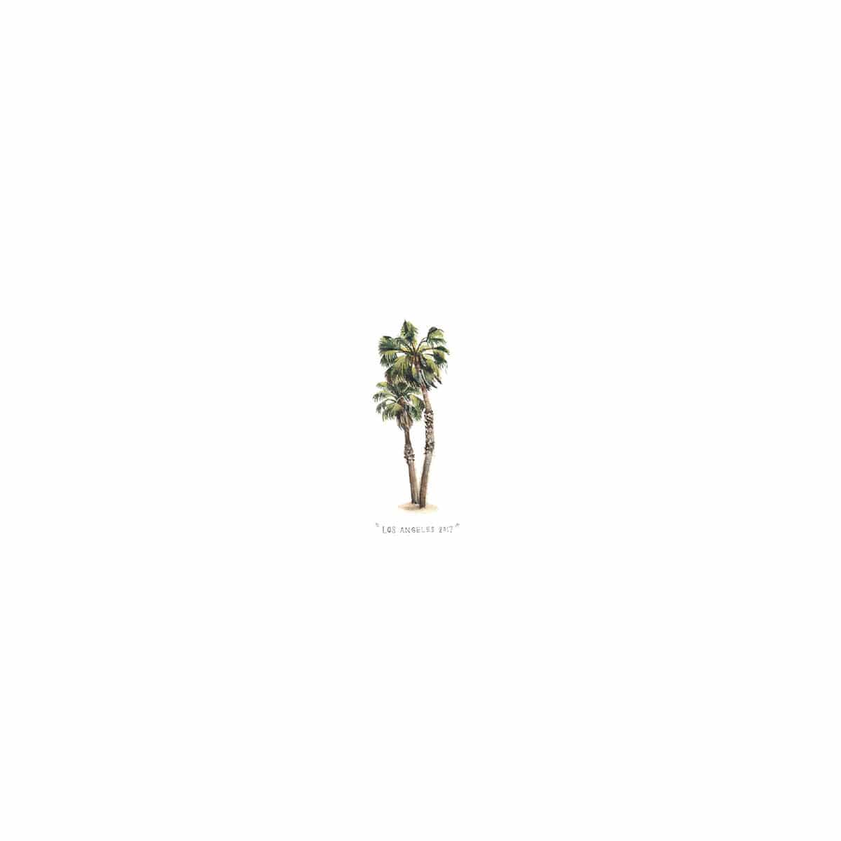 Palm Tree
