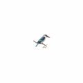 Woodlands Kingfisher